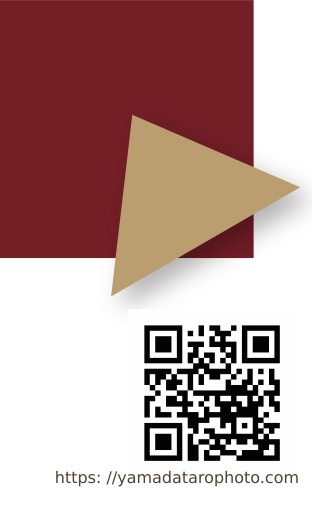 名刺デザイン見本2-2